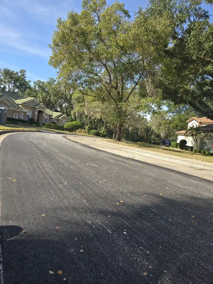Freshly compacted asphalt lane curving away under Spanish moss on a Sanford residential street