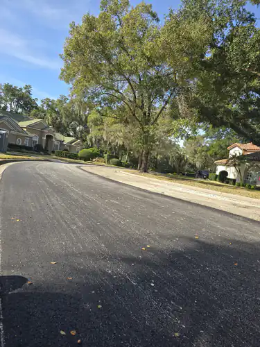 New asphalt curving under large live oaks hung with Spanish moss on a residential street in Sanford, Florida