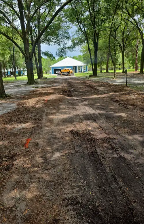 Graded sub-grade for a long driveway under oak trees with a paver waiting at the far end